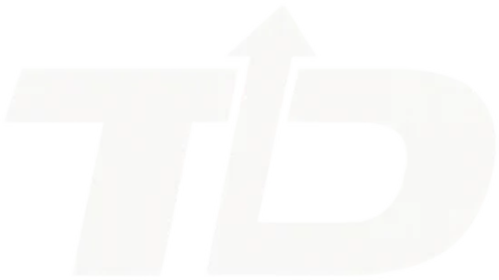 TrueDirection.de Logo